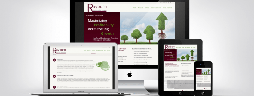 Web Design Portfolio Example