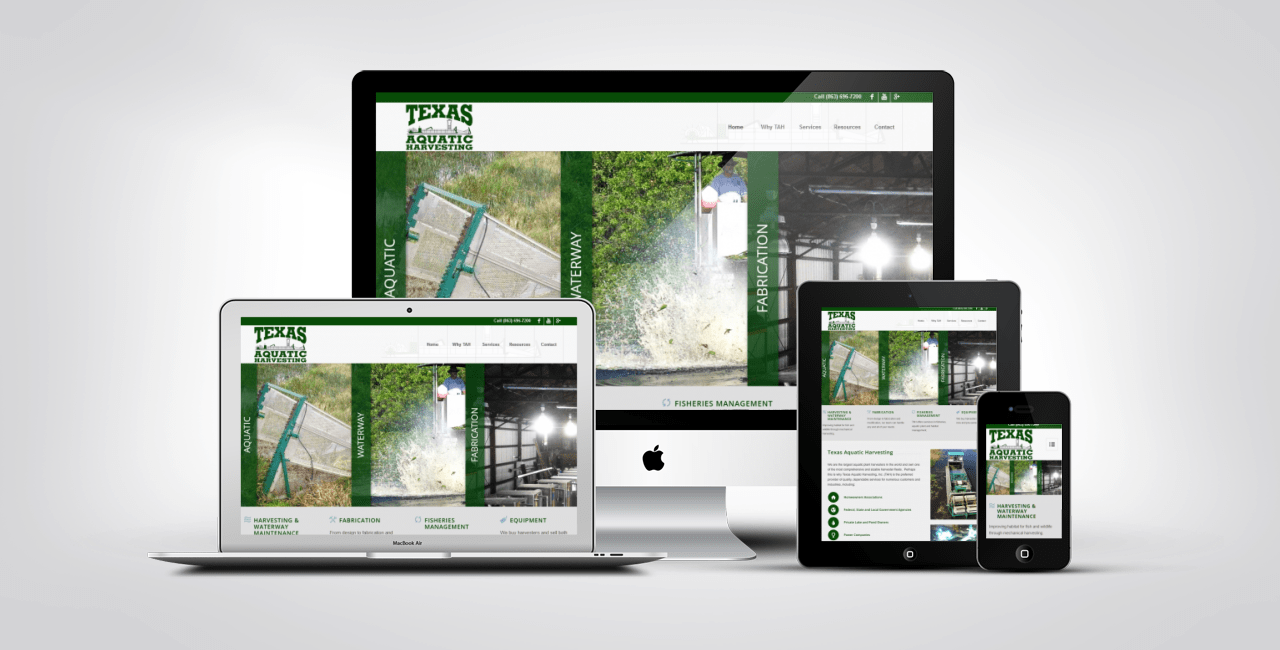 Web Design Portfolio Example