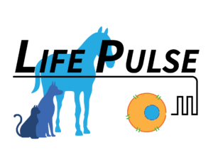 Life Pulse 2 Life Pulse